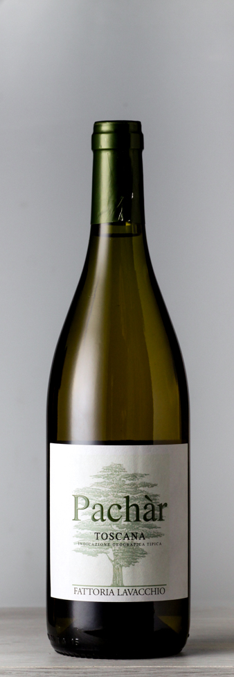 00274 Toscana igt bianco pachar