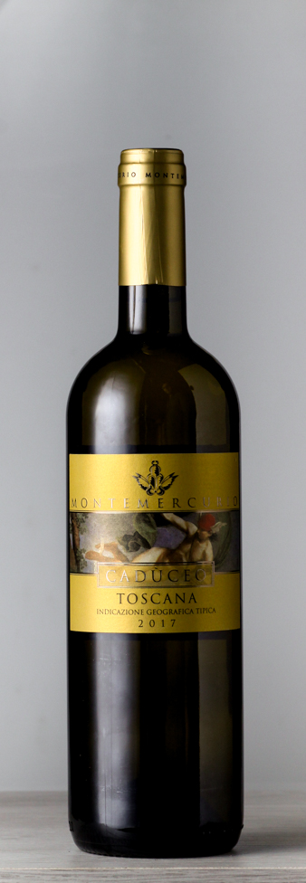 00313 Toscana bianco igt caduceo