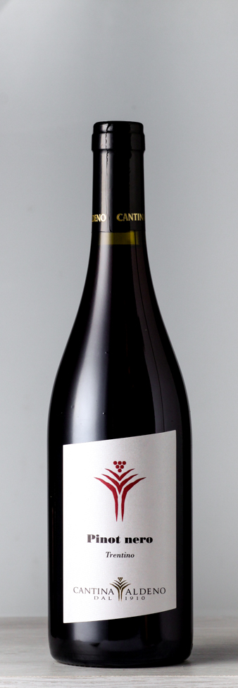 00323 Trentino doc pinot nero