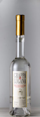 00533 grappa di lugana