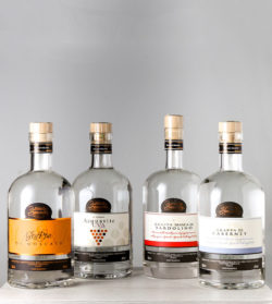 00620 linea prestige grappa veneto