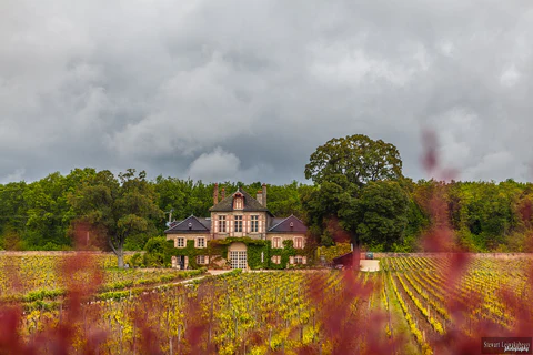 Domaine d Ardhuy 480x480 Domaine d Ardhuy 480x480