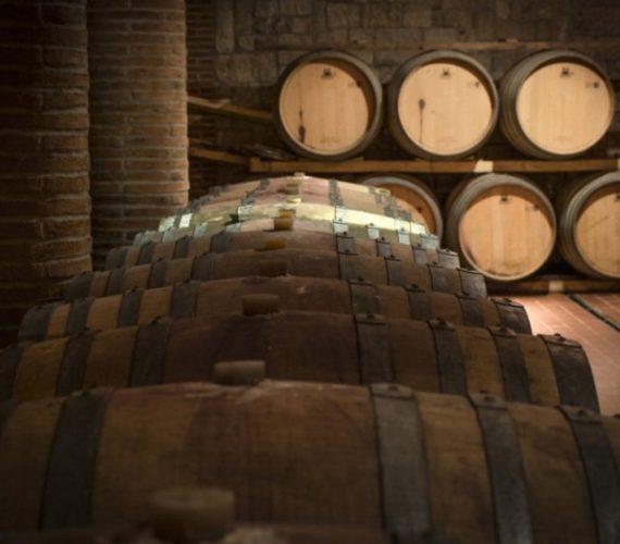 Nifo botti Nifo botti