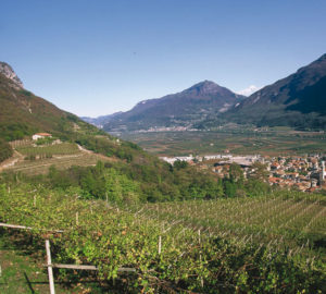 cantina aldeno 2 cantina aldeno 2