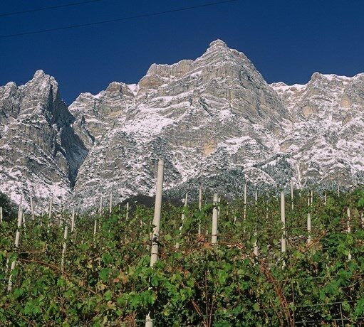 cantina aldeno 3 cantina aldeno 3