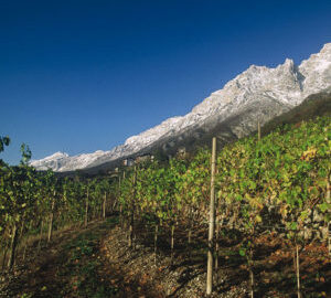 cantina aldeno 4 cantina aldeno 4