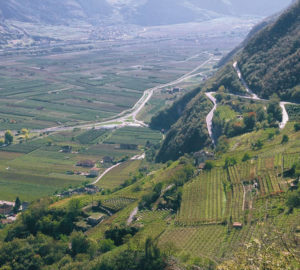 cantina aldeno 5 cantina aldeno 5