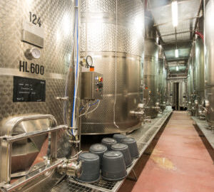 cantina aldeno 6 cantina aldeno 6