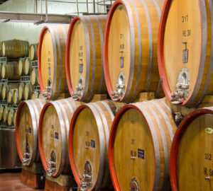 cantina aldeno 8 cantina aldeno 8