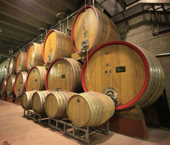 cantina aldeno e vigne cantina aldeno e vigne