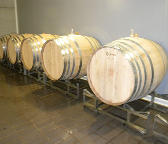 cantina la selva cantina la selva