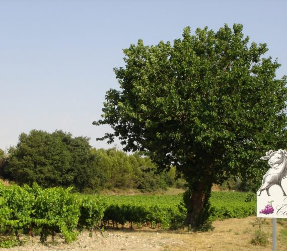 carabiniers 1 carabiniers 1