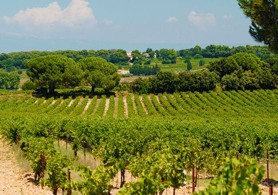 carabiniers 11 carabiniers 11