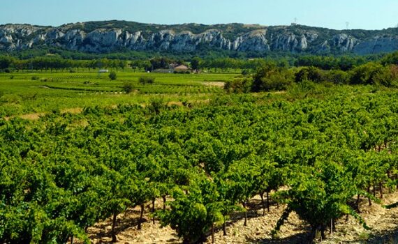 carabiniers 14 carabiniers 14