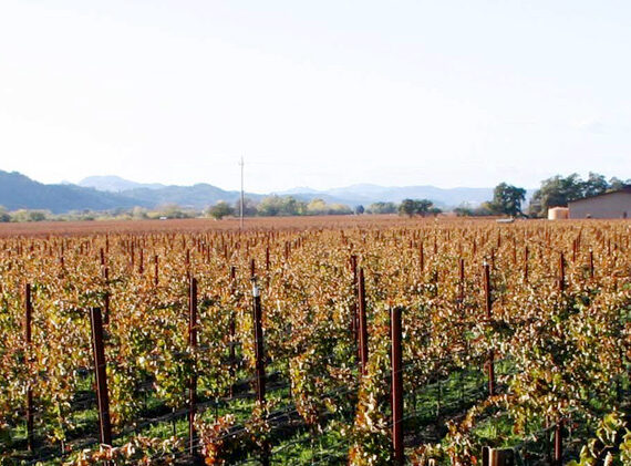 carabiniers 6 carabiniers 6