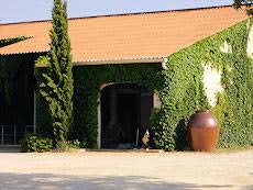 carabiniers 7 carabiniers 7