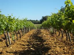 carabiniers 8 carabiniers 8