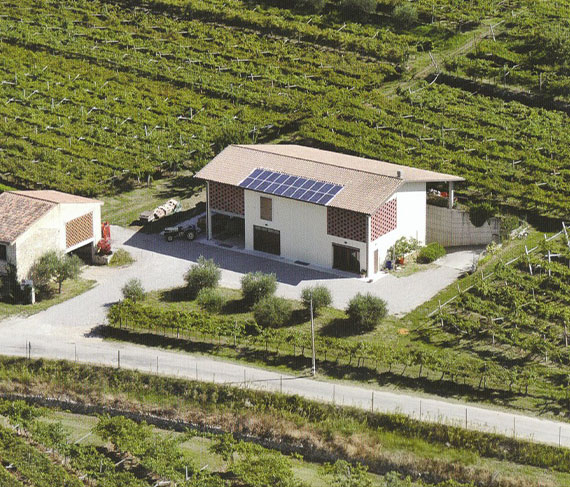 david sterza azienda david sterza azienda