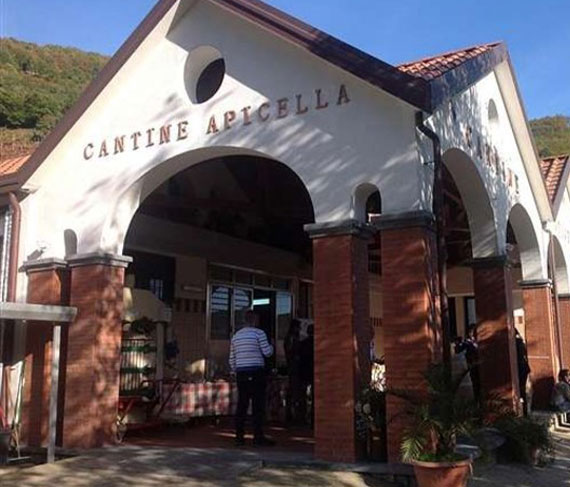 dettaglio cantine dettaglio cantine