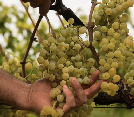 giannattasio 2 giannattasio 2