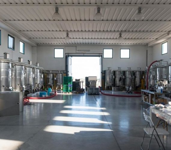 giannattasio giannattasio