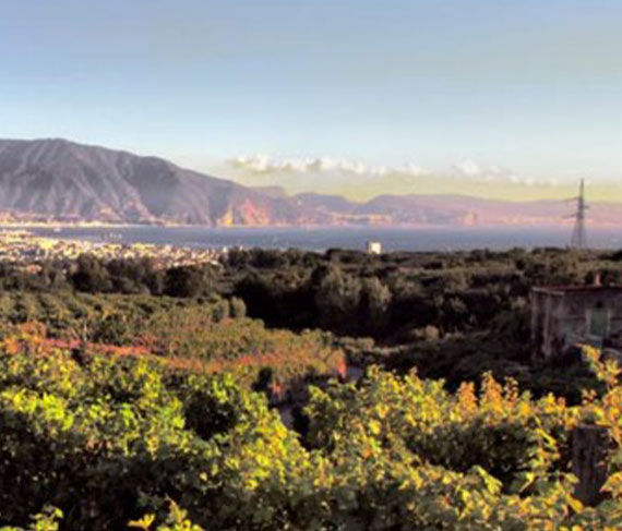 sorrentino golfo sorrentino golfo