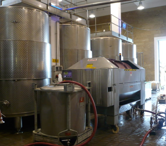 la selva 1 1 la selva 1 1