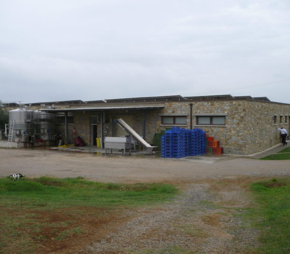 la selva 1 5 la selva 1 5