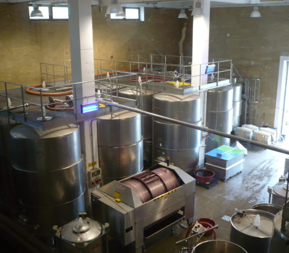 la selva 1 6 la selva 1 6