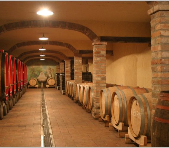 la torretta cantina1 la torretta cantina1