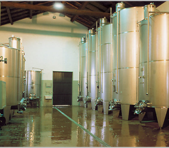 la torretta cantina2 la torretta cantina2