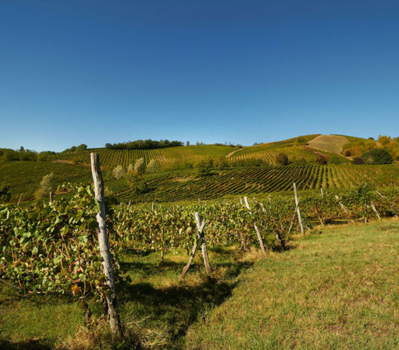 la torretta panorama la torretta panorama