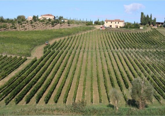 montemercurio 5 montemercurio 5