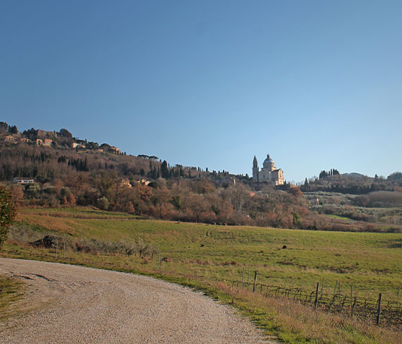 montemercurio vigne montemercurio vigne