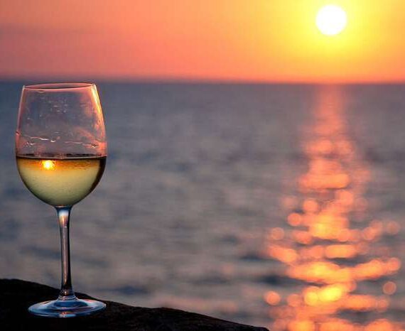 nifo marevino nifo marevino