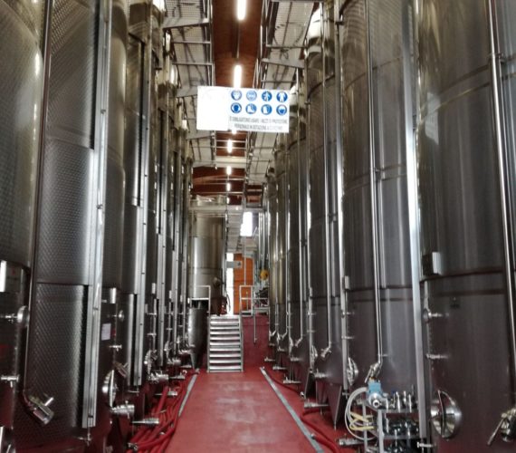 pizzolato 11 pizzolato 11