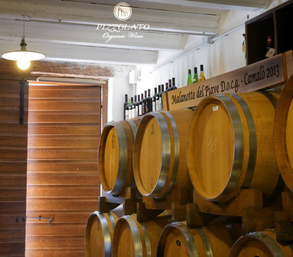 pizzolato 2 pizzolato 2