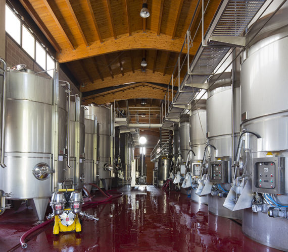 pizzolato 3 pizzolato 3