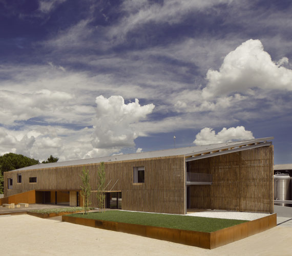 pizzolato 6 pizzolato 6