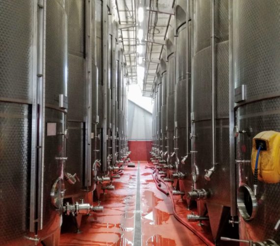 pizzolato 8 pizzolato 8