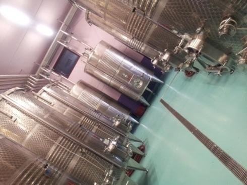 podere s. lucia cantina podere s. lucia cantina