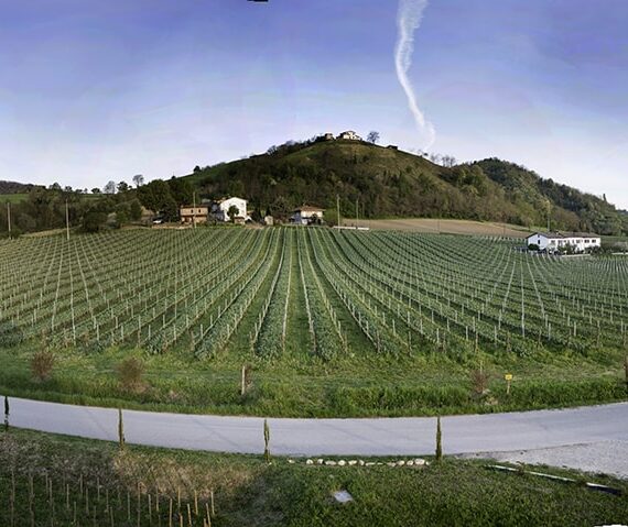 podere s. lucia serale podere s. lucia serale