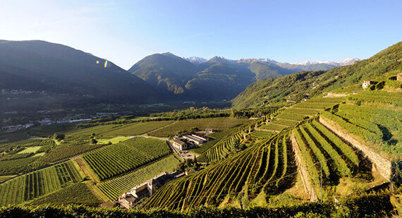 rivetti e lauro panorama rivetti e lauro panorama