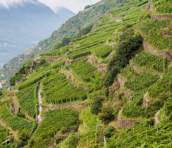 rivetti e lauro terrazza estrema rivetti e lauro terrazza estrema
