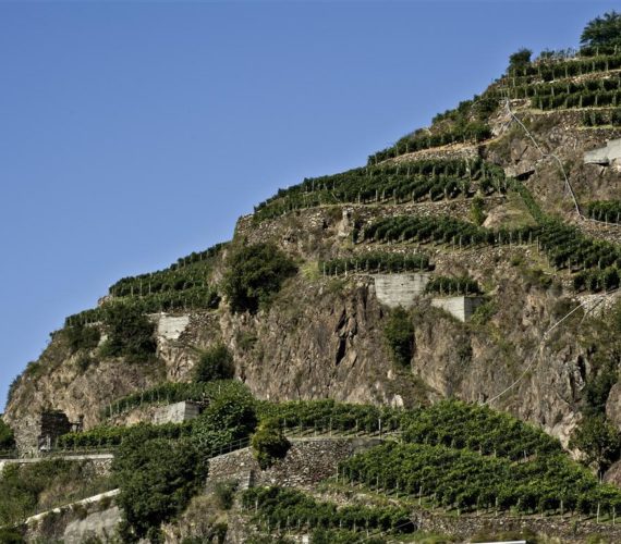 rivetti e lauro terrazzamenti rivetti e lauro terrazzamenti