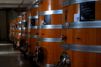 rivetti e lauro tini rivetti e lauro tini