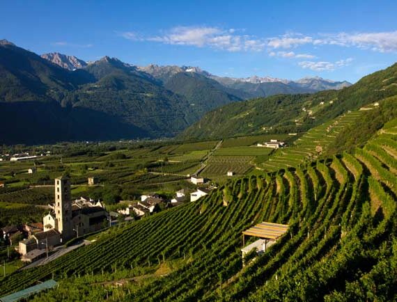 rivetti e lauro vigneti valtellian rivetti e lauro vigneti valtellian