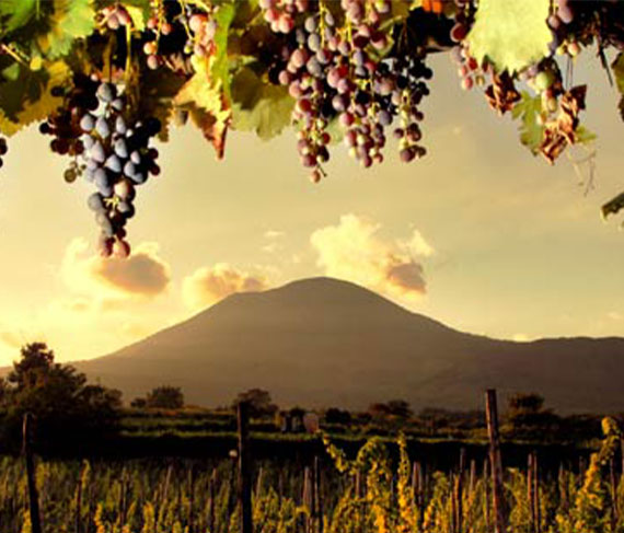 sorrentino vesuvio sorrentino vesuvio