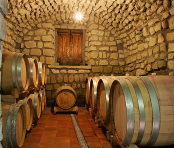 tommasone cantina tommasone cantina