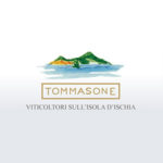 tommasone logo